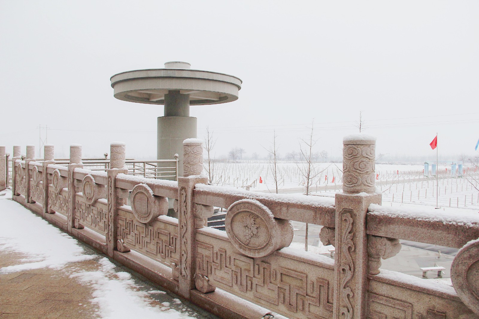 15507986867243.jpg 2.jpg