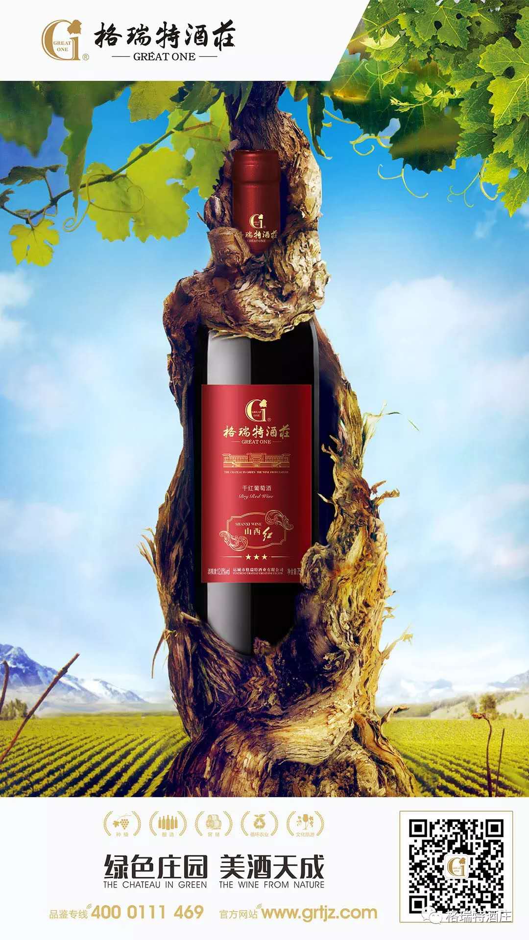 15531500508694.jpg 765708056169705864.jpg