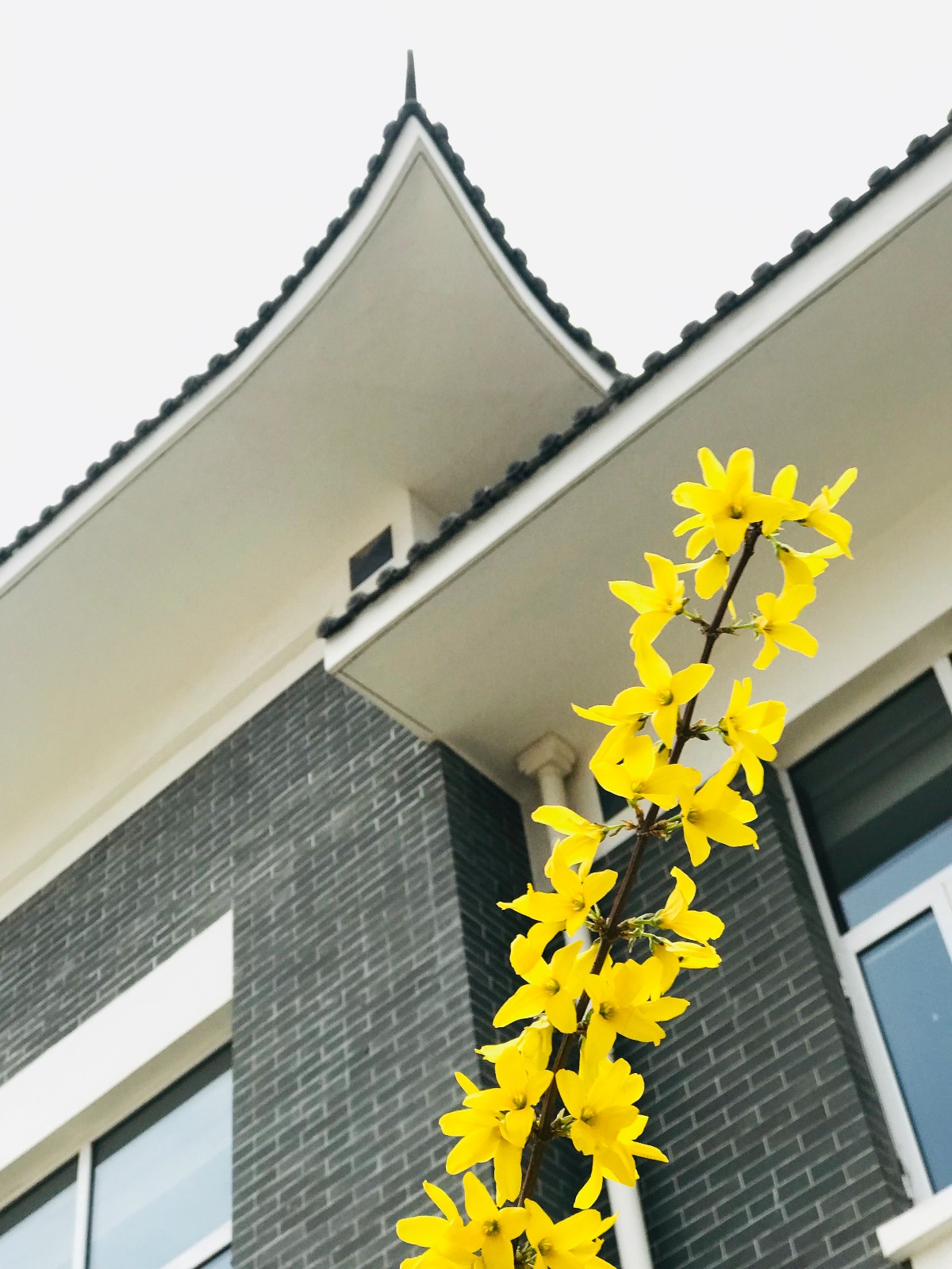 15536483594476.jpg 微信圖片_20190322092622.jpg