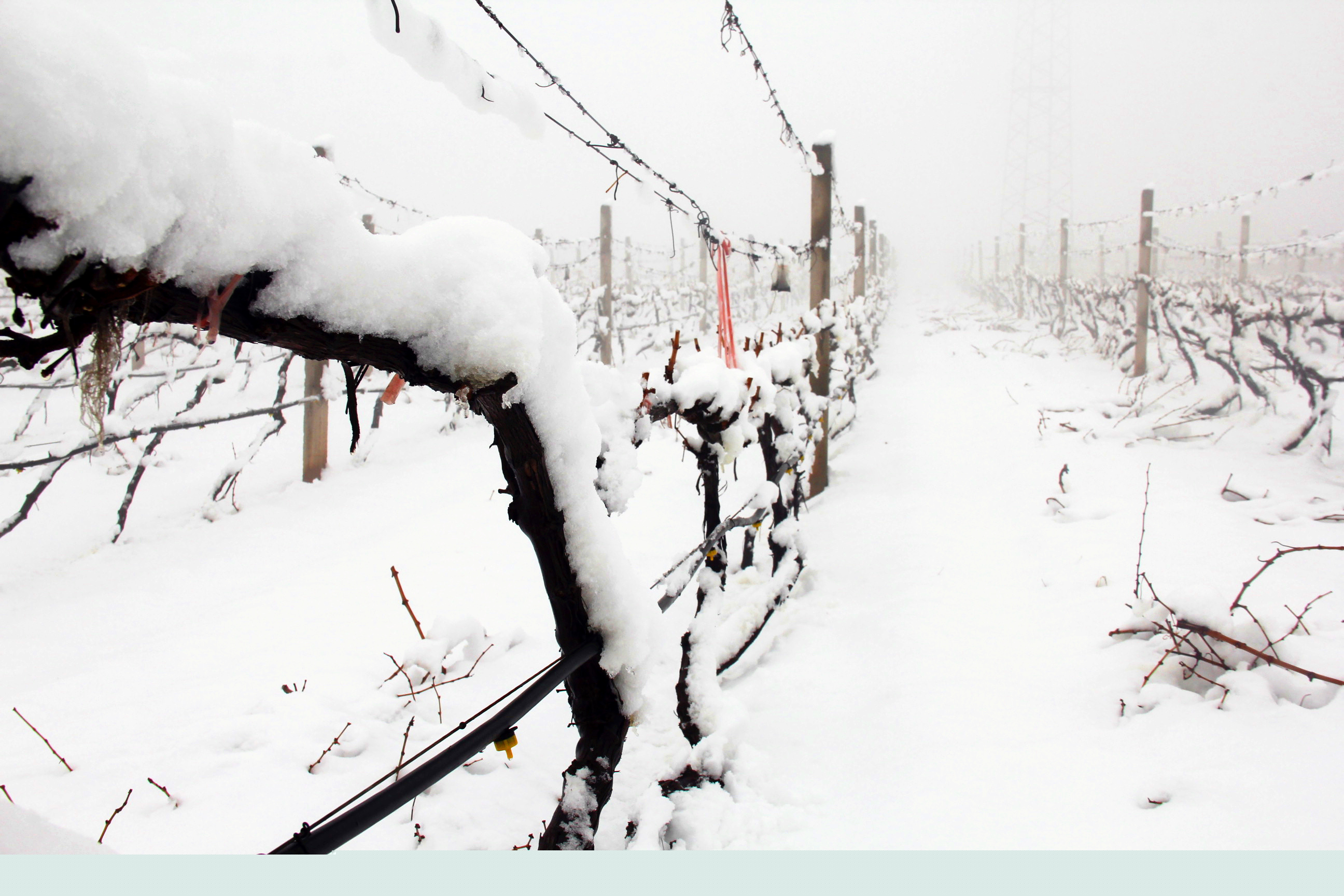 瑞雪兆豐年 ▎時(shí)光正好，歲月極美，何必覓遠(yuǎn)方