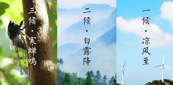 16283824106987.jpg sec=1630739422&t=1b75132fa92cdbd203c2efa0a2de1300.jpg