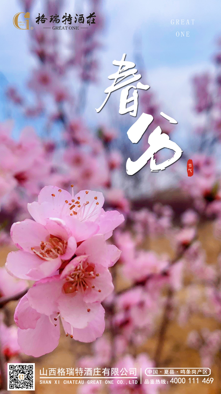 16793612368370.jpg 春分.JPG